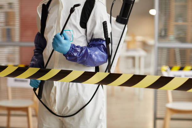 Professional Sewage Cleanup technician working in Naalehu, HI